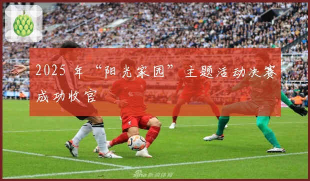 2025 年“阳光家园”主题活动决赛成功收官