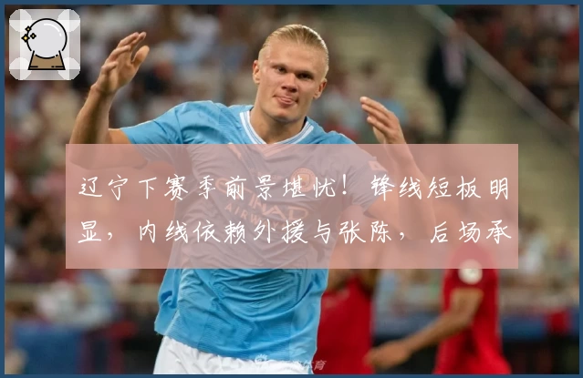 辽宁下赛季前景堪忧！锋线短板明显，内线依赖外援与张陈，后场承受重压