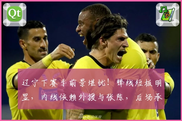 辽宁下赛季前景堪忧！锋线短板明显，内线依赖外援与张陈，后场承受重压