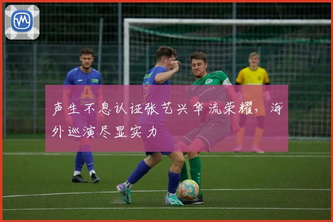 声生不息认证张艺兴华流荣耀，海外巡演尽显实力